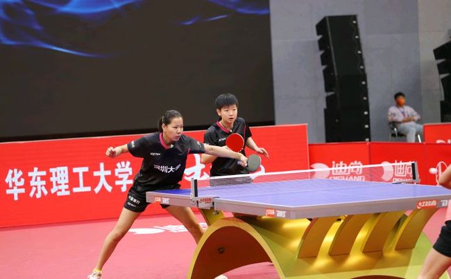 仅展现了马 仅展现了马